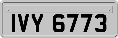 IVY6773