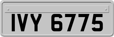 IVY6775
