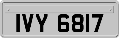 IVY6817