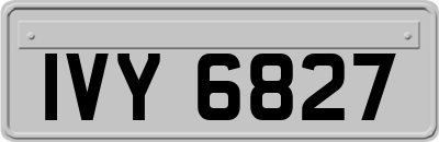 IVY6827