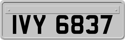 IVY6837