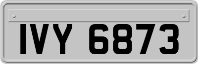 IVY6873