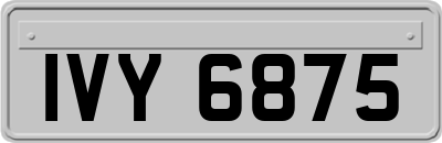 IVY6875