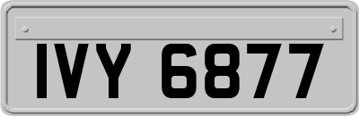 IVY6877