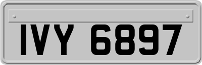 IVY6897