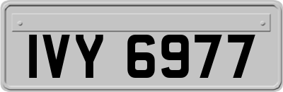 IVY6977