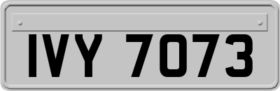 IVY7073