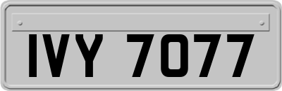 IVY7077