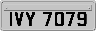 IVY7079