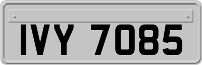 IVY7085