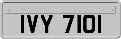 IVY7101