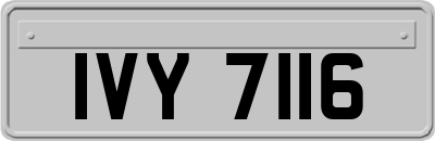 IVY7116