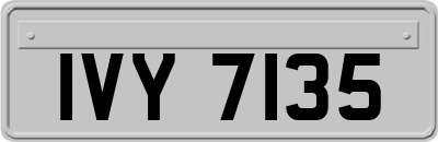 IVY7135