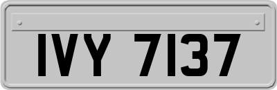 IVY7137