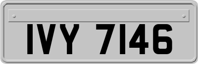 IVY7146