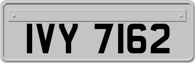 IVY7162