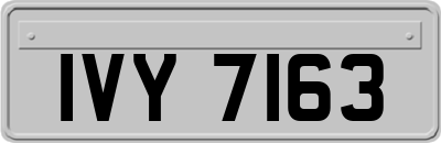 IVY7163