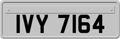 IVY7164