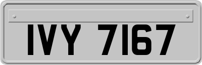 IVY7167