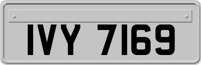 IVY7169