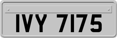 IVY7175