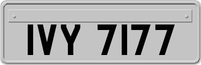 IVY7177
