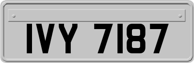 IVY7187