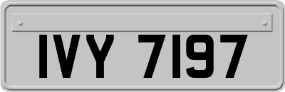 IVY7197