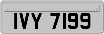 IVY7199