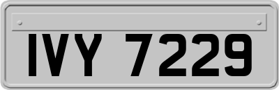IVY7229