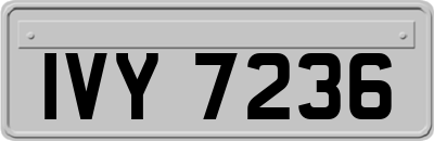 IVY7236