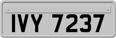 IVY7237