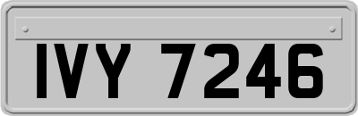 IVY7246