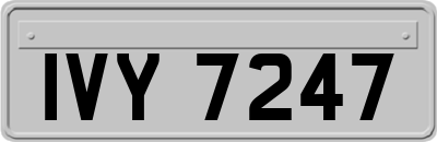 IVY7247