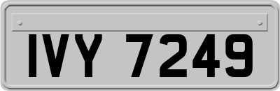 IVY7249