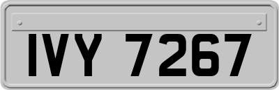 IVY7267