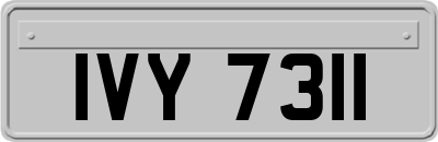 IVY7311