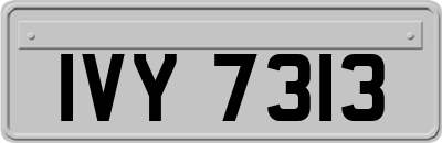 IVY7313