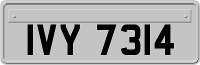 IVY7314