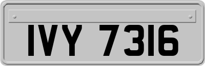 IVY7316