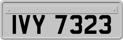 IVY7323