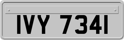 IVY7341