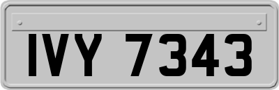 IVY7343