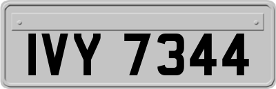IVY7344