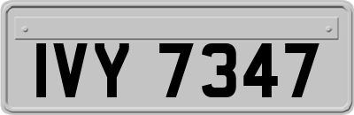 IVY7347