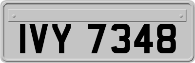 IVY7348