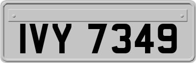 IVY7349