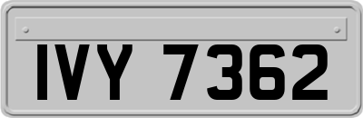 IVY7362