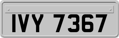 IVY7367