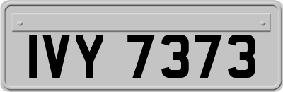 IVY7373